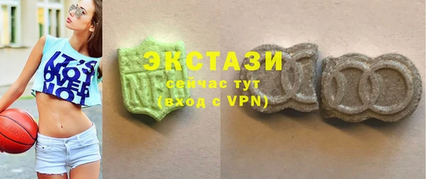тгк Инсар