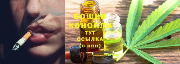 тгк Инсар