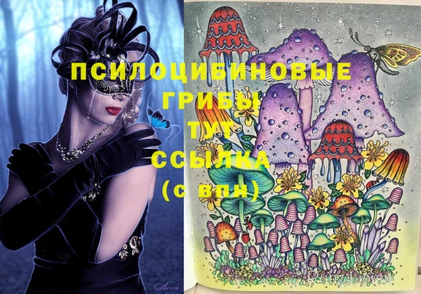 тгк Инсар