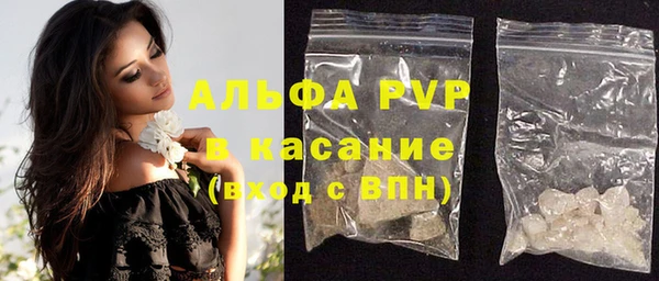тгк Инсар
