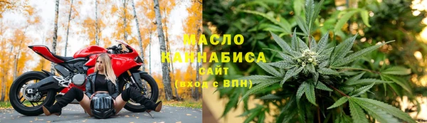 тгк Инсар